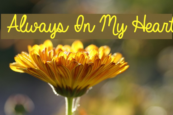 Always In My Heart Font examples
