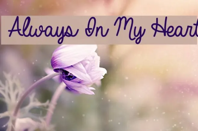 Always In My Heart Example 3