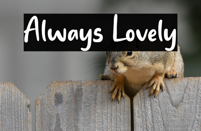 Always Lovely Example 3