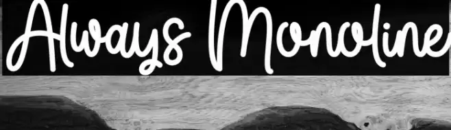 Always Monoline 字体 examples