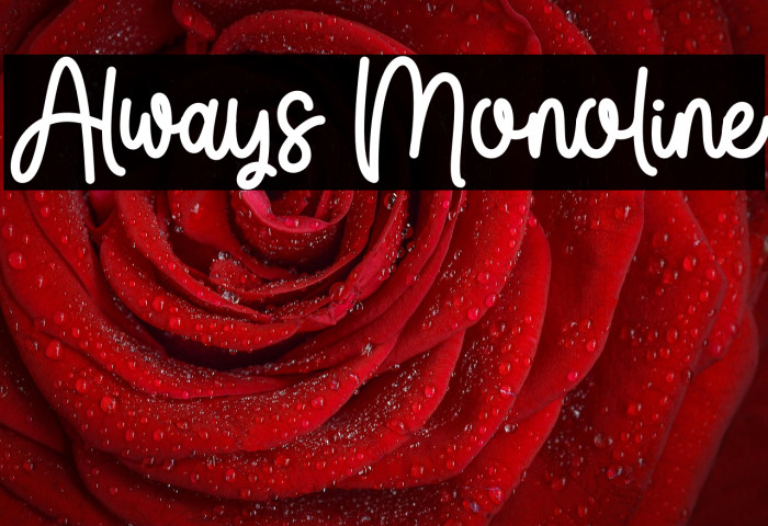 Always Monoline Example 2