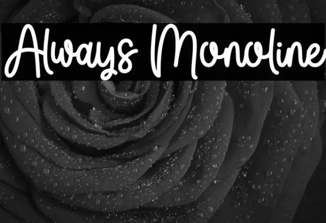 Always Monoline 字体 examples