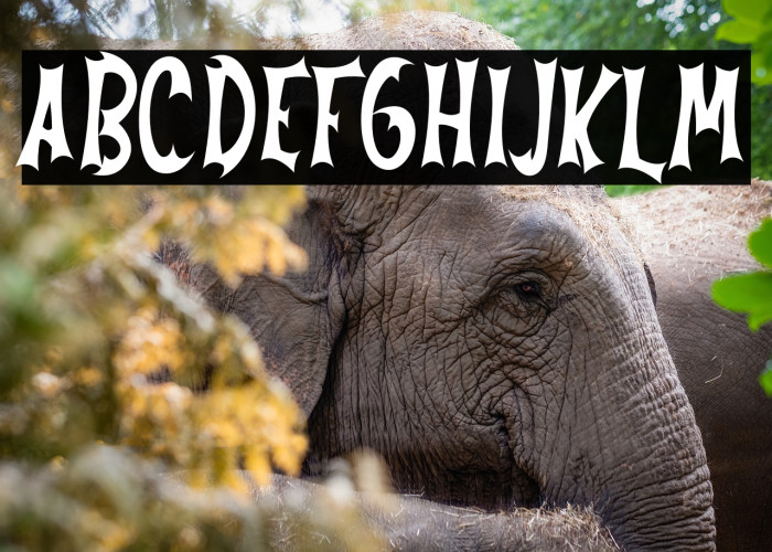 Always Nightmare Example 3