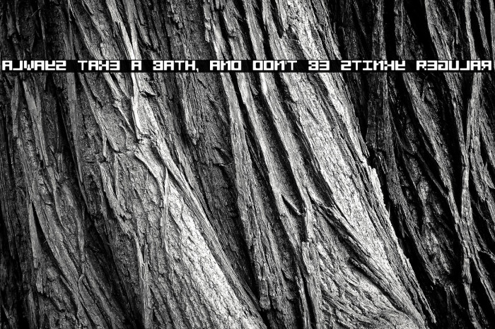 Always take a bath, and don't be stinky Regular Example 3