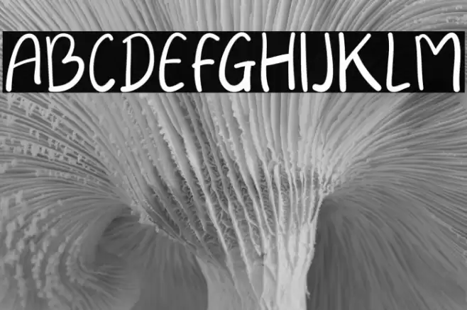 Always Font examples