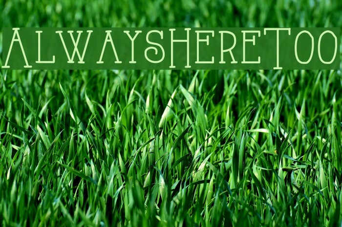 AlwaysHereToo Font examples