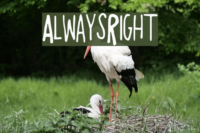 AlwaysRight Font examples