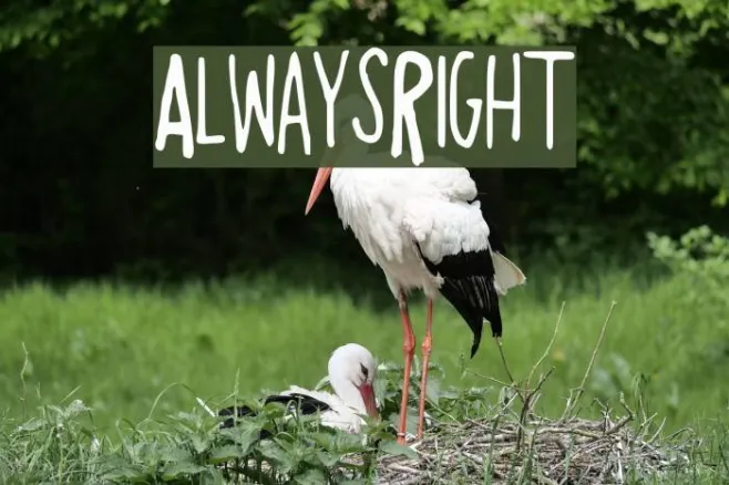 AlwaysRight Example 1