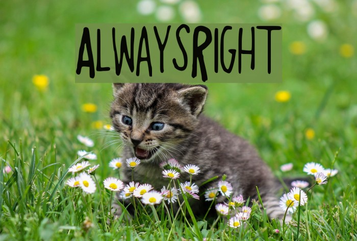 AlwaysRight Font examples