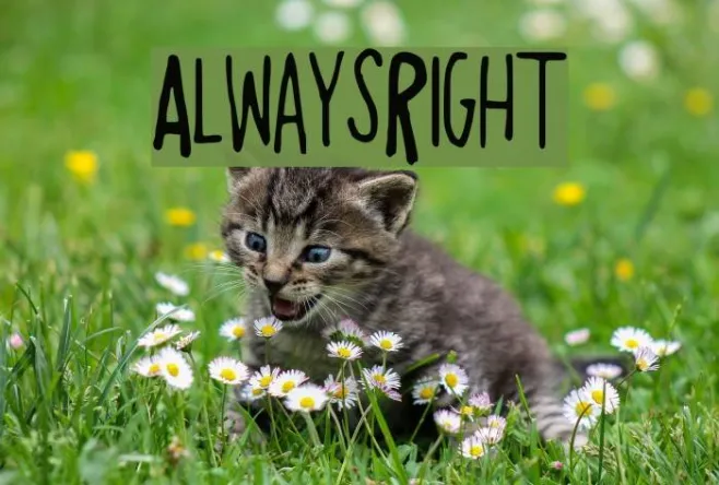 AlwaysRight Example 3