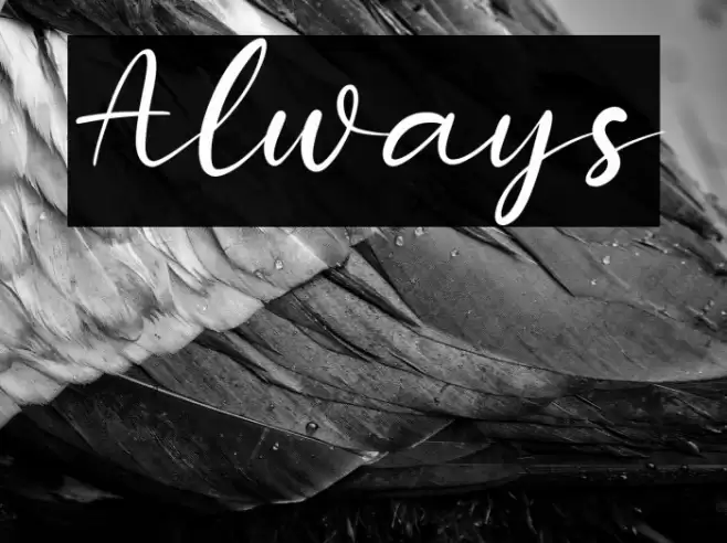 Always Font examples