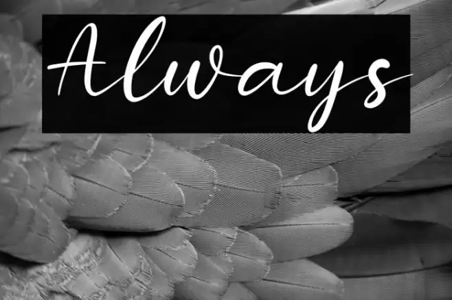 Always Font examples