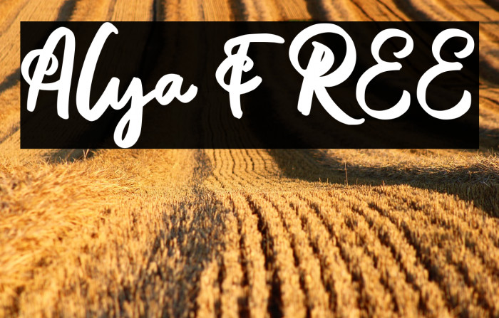 Alya FREE Example 2