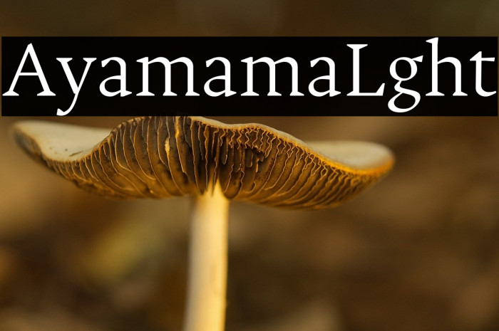 Alyamama Light Example 1