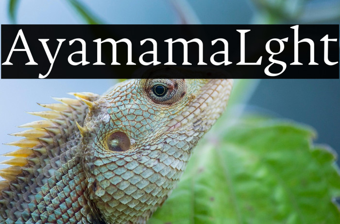 Alyamama Light Example 3