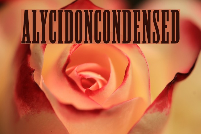 Alycidon-Condensed Font examples