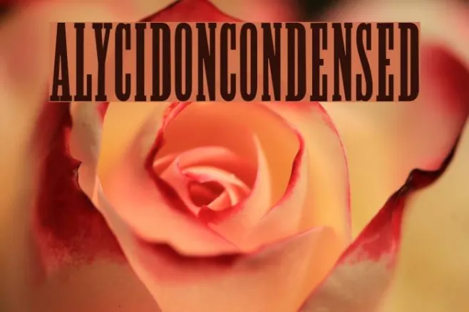 Alycidon-Condensed Example 1
