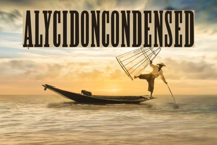 Alycidon-Condensed Font examples