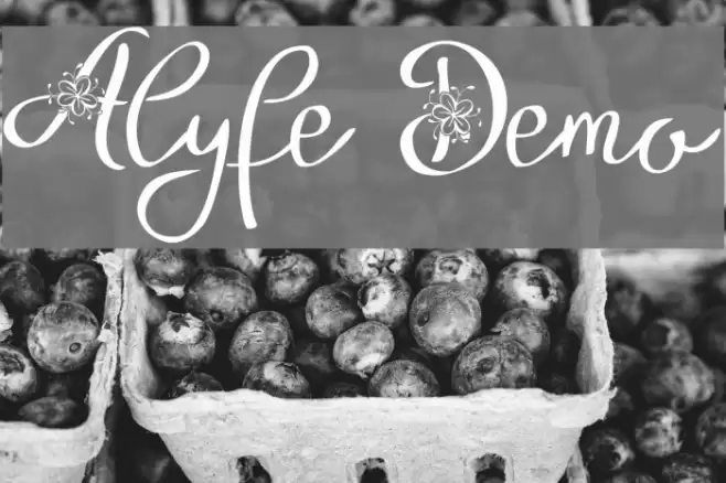 Alyfe Demo Font examples