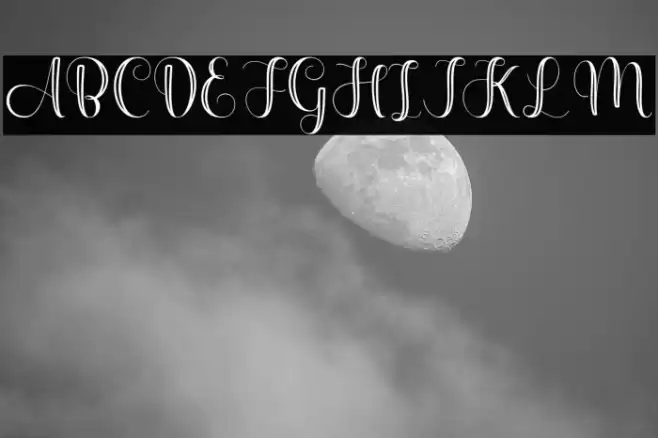 Alyne Polices examples