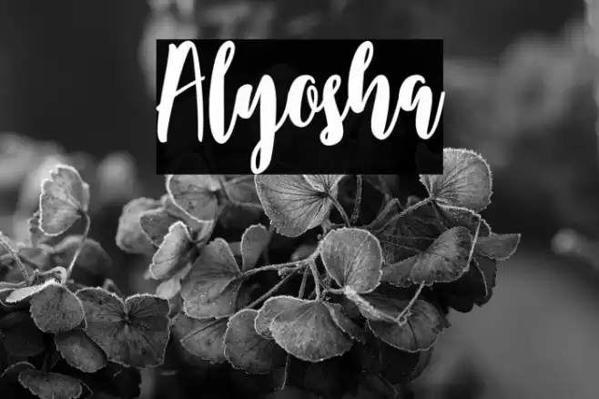 Alyosha Font examples