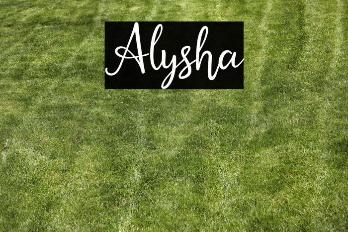 Alysha Example 3