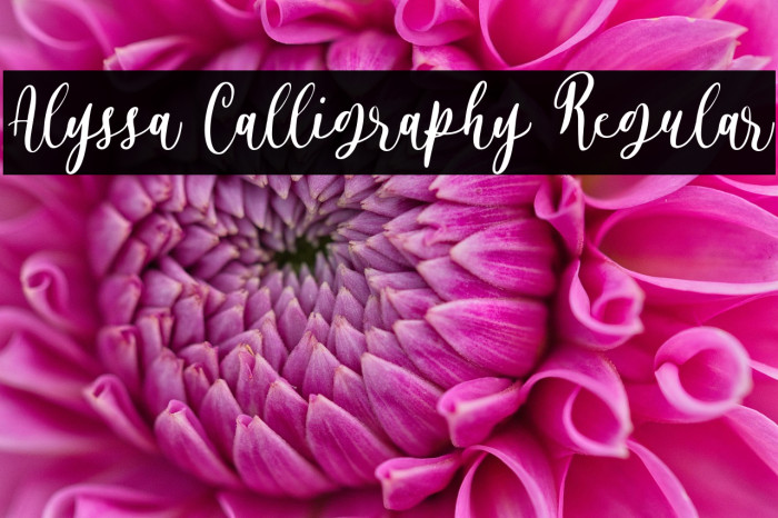 Alyssa Calligraphy Regular Example 2