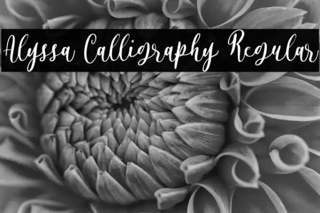 Alyssa Calligraphy Regular Font examples