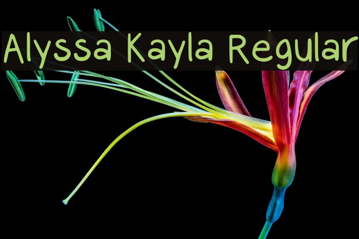 Alyssa Kayla Regular Font examples
