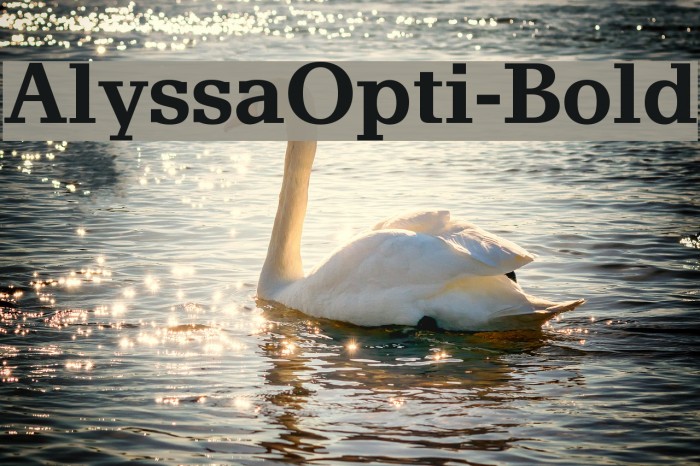 AlyssaOpti-Bold Font examples