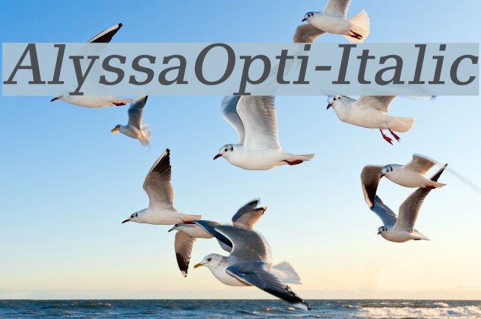 AlyssaOpti-Italic Font examples