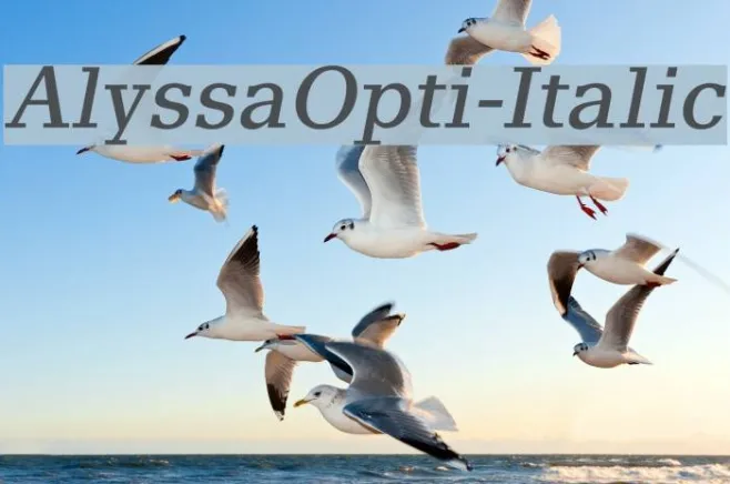 AlyssaOpti-Italic Example 1