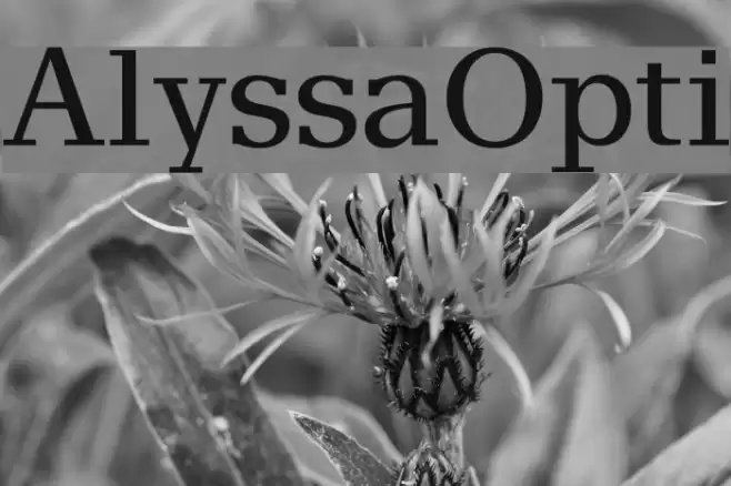 AlyssaOpti Шрифта examples