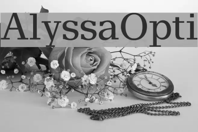 AlyssaOpti Шрифта examples