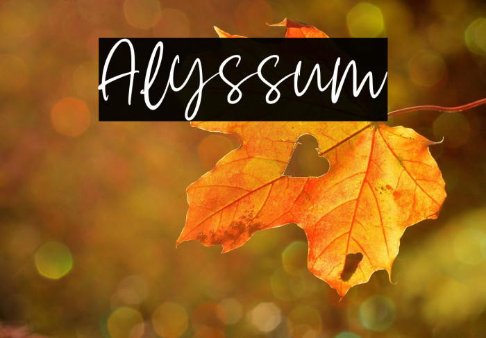 Alyssum Example 1