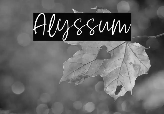 Alyssum Font examples
