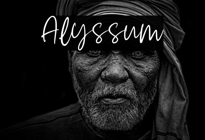 Alyssum Example 2