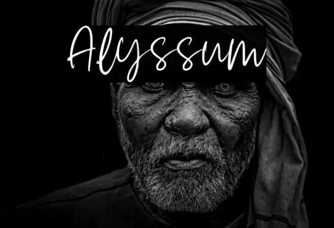 Alyssum Font examples