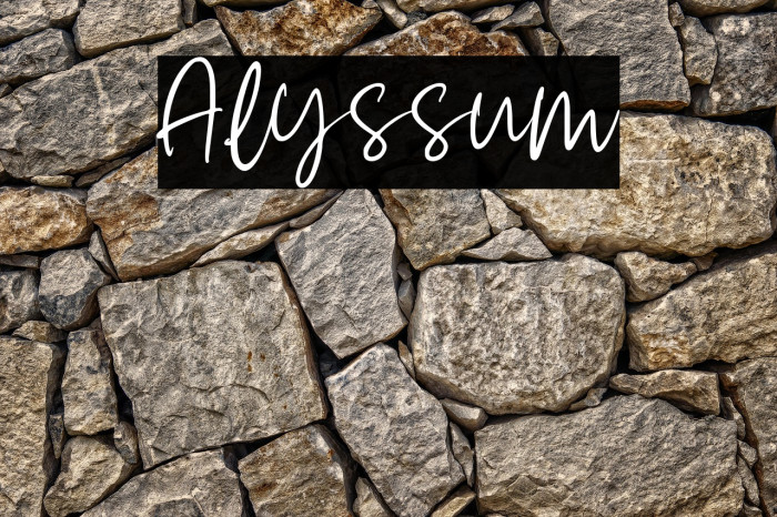 Alyssum Example 3