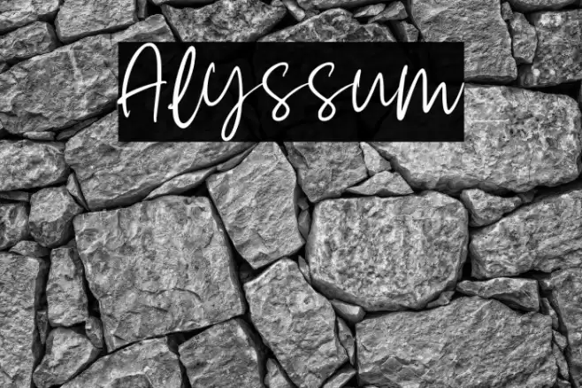 Alyssum Font examples