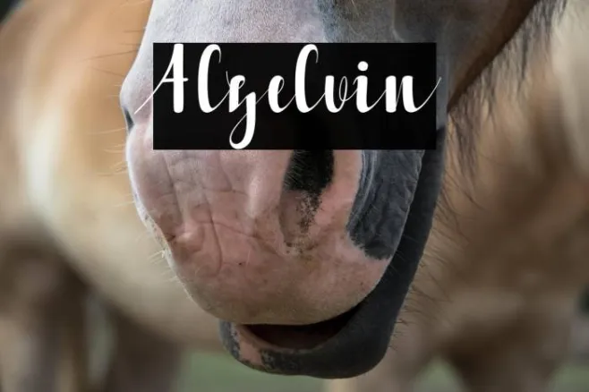 Alzelvin Example 3