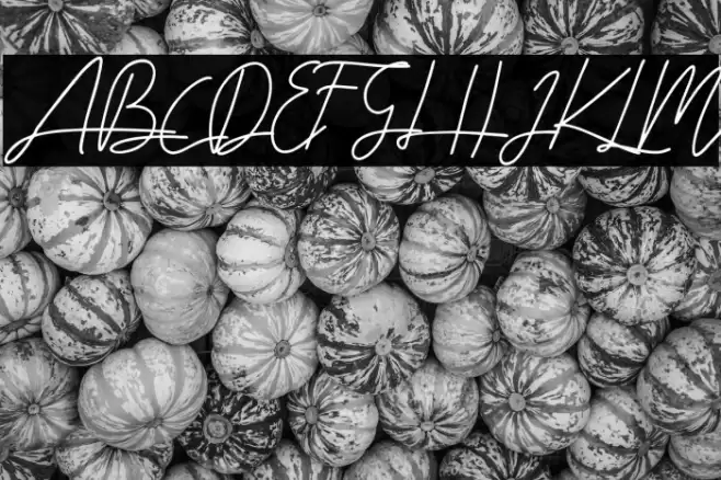 alabama Font examples