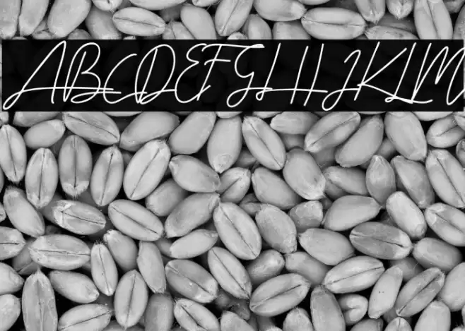 alabama Font examples