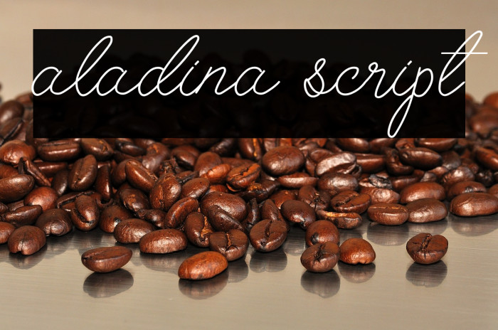 aladina script Example 1