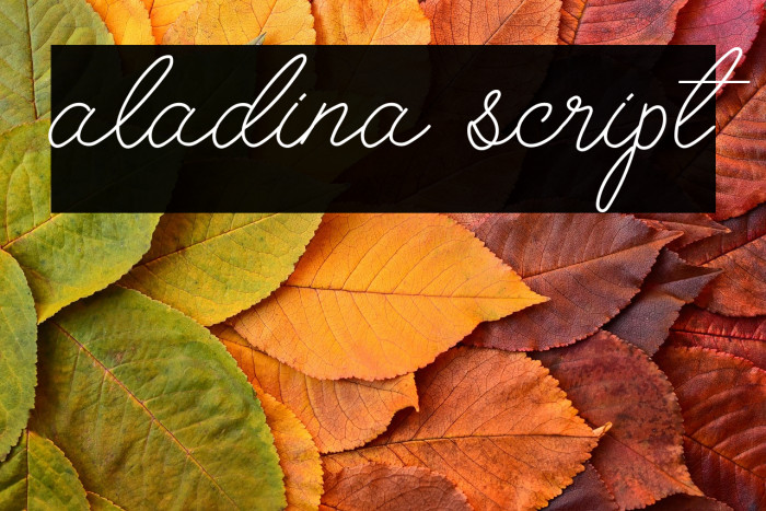 aladina script Example 2