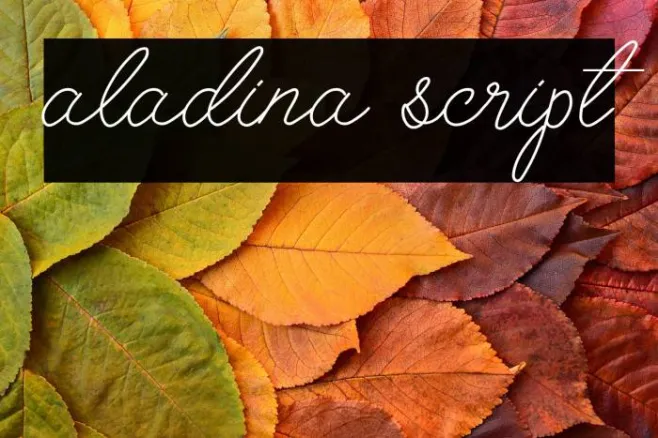 aladina script Example 2