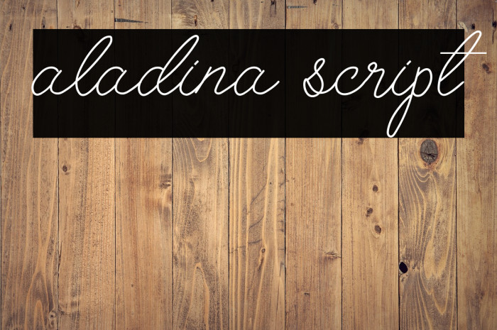 aladina script Example 3