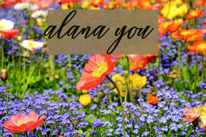 alana you Font examples