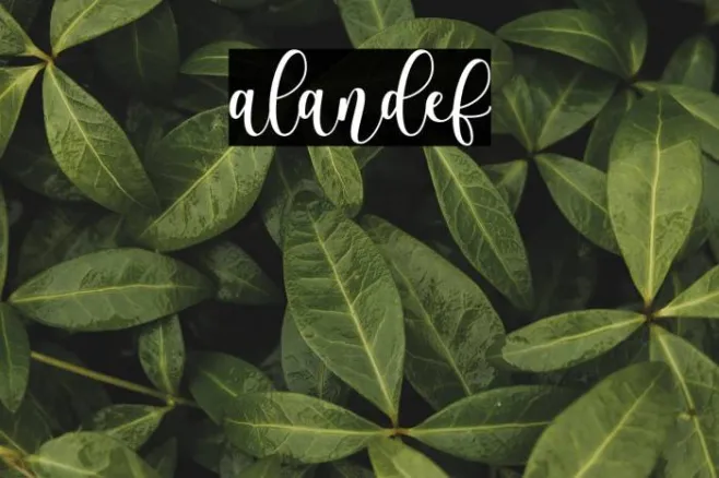 alandef Example 2
