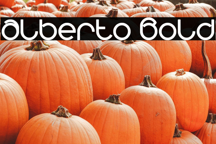 alberto Bold Example 1